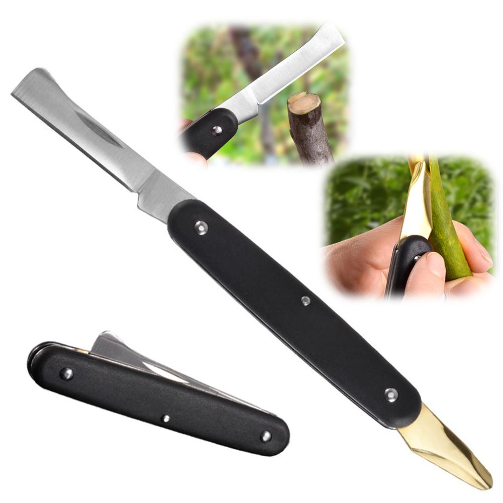 Fruit And Vegetable Grafting M - Fruit Slot Machine review and price