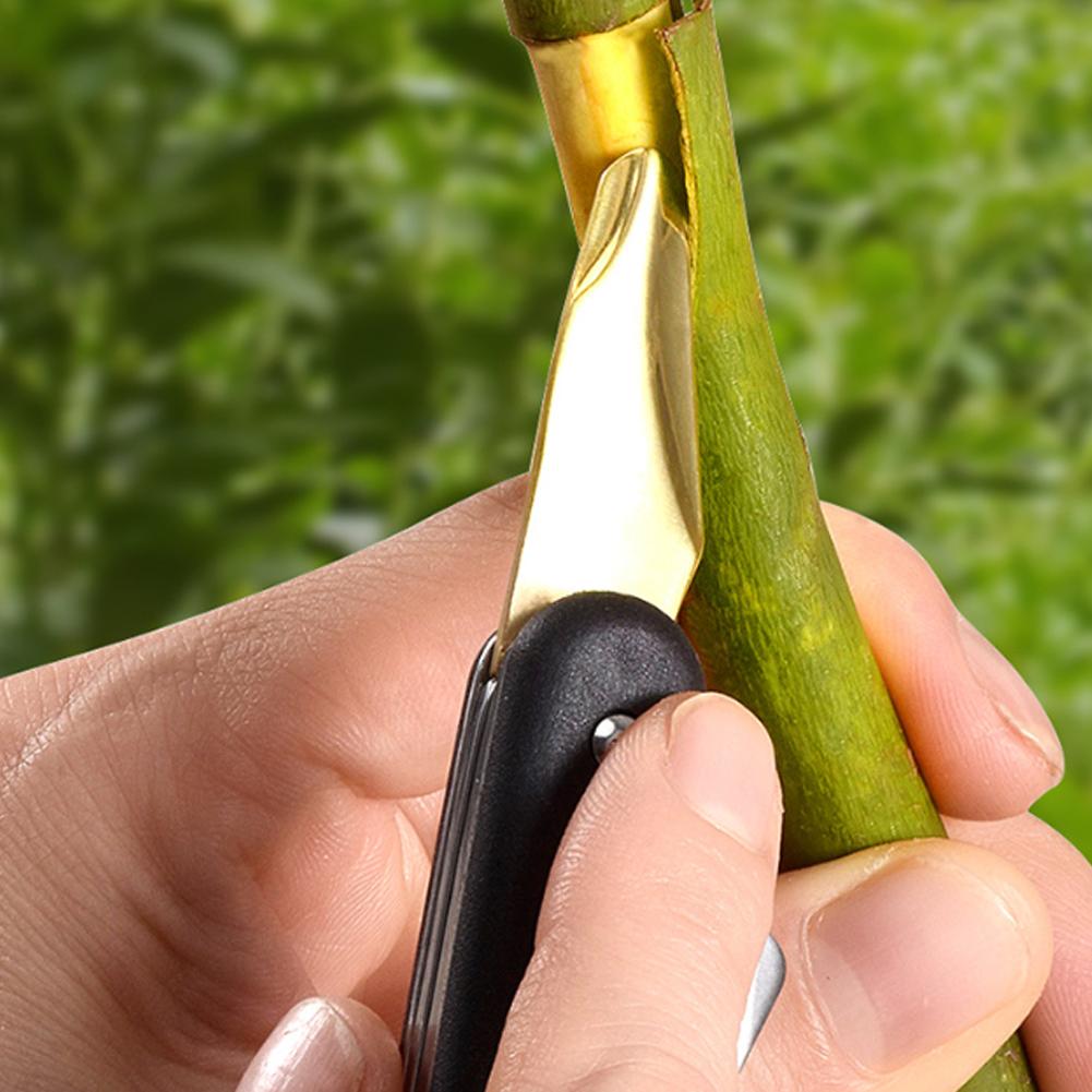 Fruit And Vegetable Grafting M - Fruit Slot Machine review and price